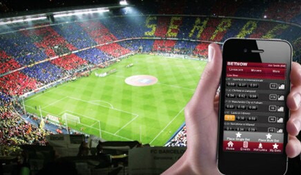 Decoding the Game: Key Factors in Choosing the Right Online Sports Betting Platform